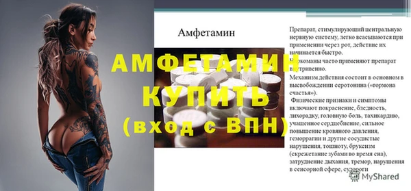 хмурый Арсеньев