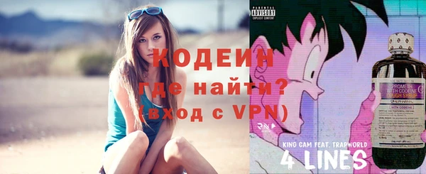 хмурый Арсеньев