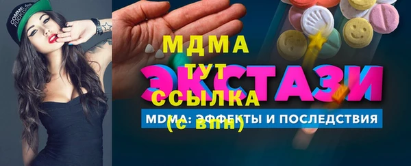 хмурый Арсеньев