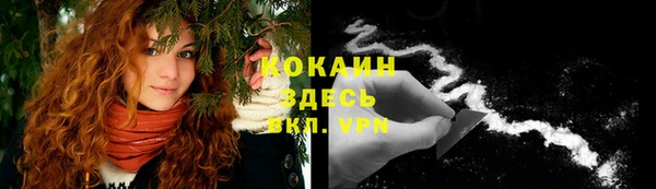 тгк Аркадак