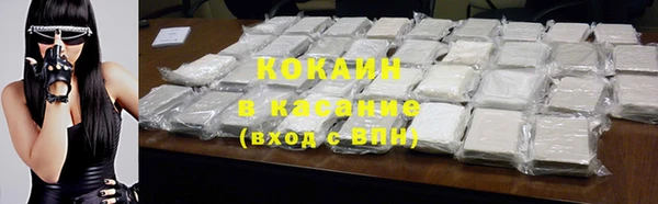 хмурый Арсеньев