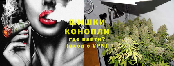 хмурый Арсеньев