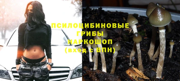мет Армянск