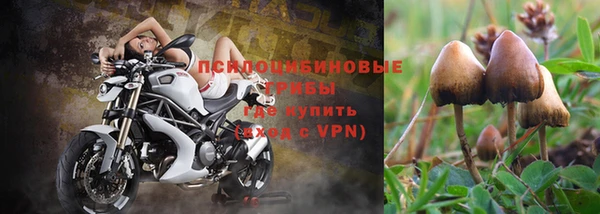 хмурый Арсеньев