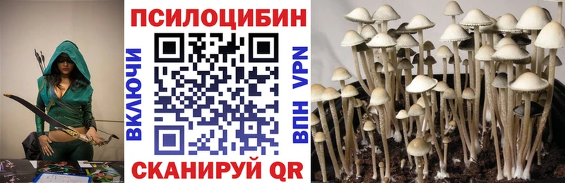 Галлюциногенные грибы прущие грибы  цена наркотик  Богородск 