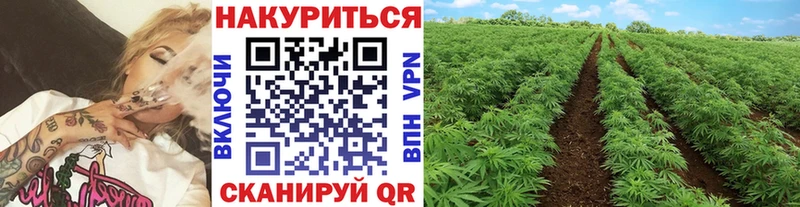 Бошки марихуана THC 21% Богородск